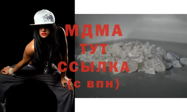 индика Нягань