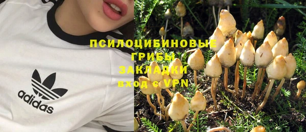 дмт Вязьма