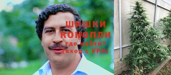ешки Вяземский