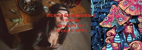 ешки Вяземский