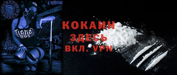 ешки Вяземский