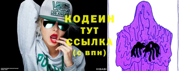ешки Вяземский